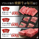 【ふるさと納税】【定期便】飛騨牛（全3回）（ステーキ /焼肉 / ブロック[塊] ) 計1.6kg 全3回 | 焼肉 ステーキ カルビ 牛 定期 【飛騨高山ミート MZ101】 2