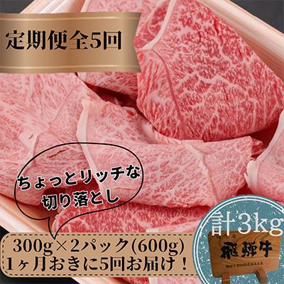 【定期便 隔月発送】全5回 飛騨牛ちょっとリッチな切り落とし（みすじ・ウデすき焼きしゃぶしゃぶ用）300g×2パックセット | 2か月に1回発送 飛騨牛 飛騨高山 切り落とし 肉 牛肉 みすじ ウデ しゃぶしゃぶ すき焼き 人気 飛騨牛のこもり TR3448-s