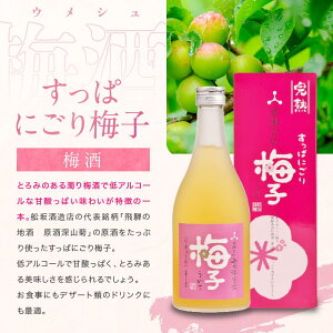 【ふるさと納税】柚子酒 梅酒 ぶどう酒 果実酒 低アルコール ほろよい リキュール500ml 3本セット 飲み比べ 日本酒 飛騨 舩坂酒造 プレゼントゆず兵衛 梅子 ぶど次郎 b593