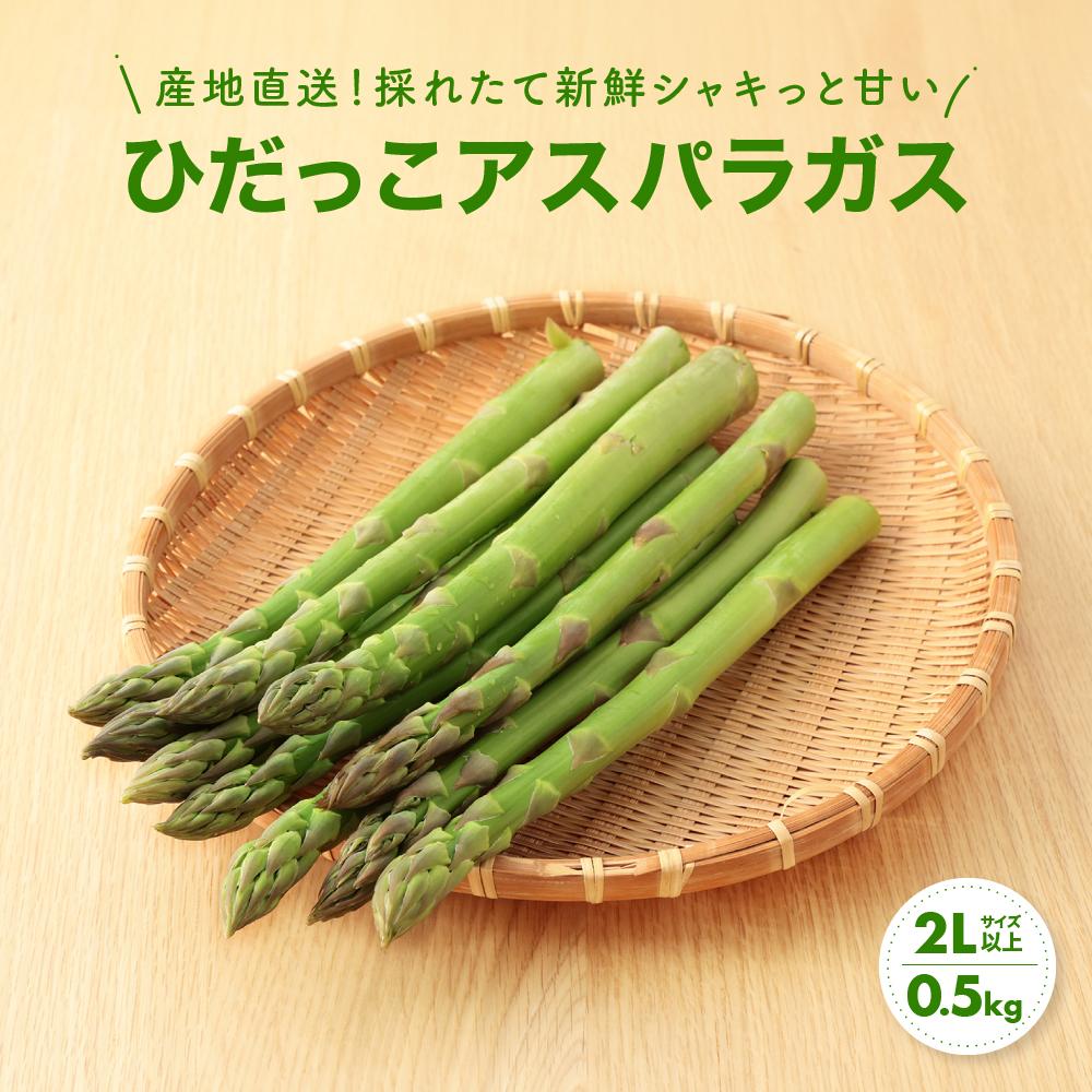 【ふるさと納税】【夏芽】2Lサイズ以上 ひだっこアスパラガス 0.5kg アスパラ 野菜 やさい 産地直送 春 夏 採れたて グリーンアスパラガス 期間限定 ひだっこの里 TR4347