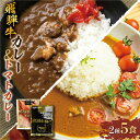 【ふるさと納税】【発送時期が選べる】飛騨牛カレー (3袋) 飛騨牛トマトカレー (2袋) 計5食 | 訳あり 飛騨牛 肉 牛 カレー ビーフカレー 簡易包装 レ...