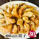 【ふるさと納税】高山餃子 30個入り お試しパック < 生冷凍餃子 ・ 簡易包装 > ぎょうざ ギョーザ 冷凍 冷凍餃子 簡易包装 業務用 惣菜 ニラ 豚肉 大容量 FN003