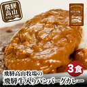 【ふるさと納税】飛騨牛入りハンバーグが入ったレトルトカレー 3食 | おかず レトルト食品 惣菜 温めるだけ 加工品 常備食 お手軽おかず 常温 個包装 レンジ 湯せん 非常食 飛騨高山牧場 HG005