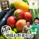 【ふるさと納税】【数量限定】【2025年予約受付】(7月〜発送開始) 自然栽培 朝採れ 野菜セット 5〜8種 | 先行予約 新鮮 野菜 採れたて トマト ナス ...