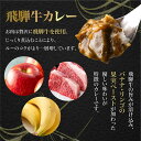 岐阜県高山市の画像3