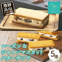 【ふるさと納税】【数量限定】 レーズンバターサンド 2個 シャインマスカット レーズンバターサンド 3個 詰め合わせ 洋菓子 お菓子 詰合せ 内祝い 贈答 熨斗...