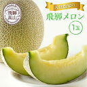 【ふるさと納税】【数量限定】2025年先行予約 厳選!入賞飛騨メロン1玉 ≪8月頃より順次発送≫ | 飛騨高山産 めろん 上位入賞メロン 果物 くだもの フルー...