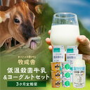 【ふるさと納税】牛乳 & ヨーグルト 定期便 3ヶ月 セット ( 合計: 牛乳6本 飲むヨーグルト3本 ヨーグルト36個 ) 牧成舎 岐阜 高山市 飛騨高山 岐...
