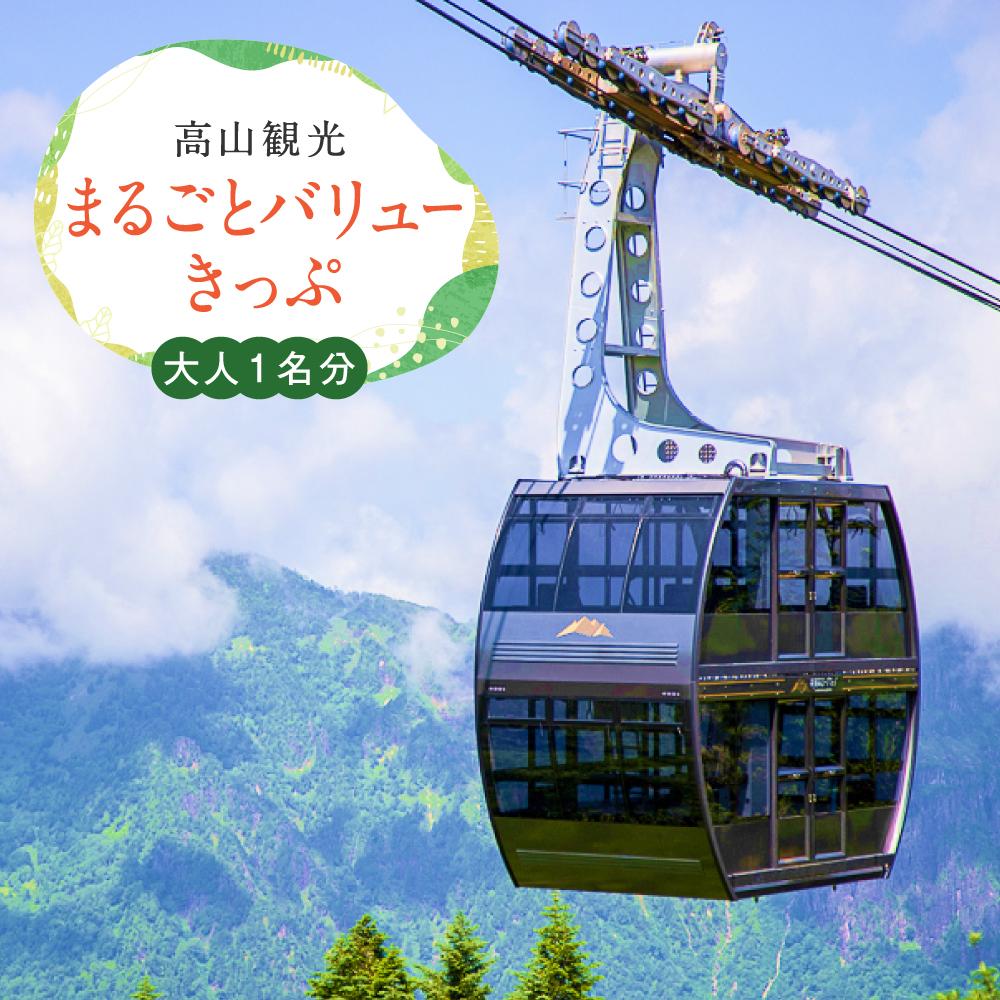 【ふるさと納税】【高山観光】まるごとバリューきっぷ 1名分（バス＋新穂高ロープウェイ乗車券）| 一部観光施設が割引になる嬉しい特典つき！ 高山～新穂高ロープウェイ間の2日間フリーパス ロープウェイ往復利用券 旅行 チケット 飛騨高山 濃飛バス 濃飛乗合自動車 CA003のサムネイル