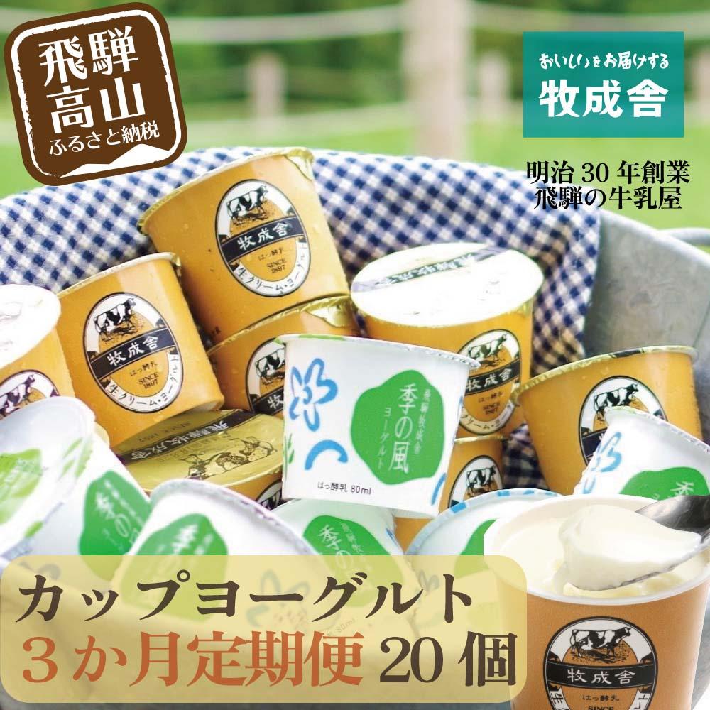 【ふるさと納税】【定期便3か月】飛騨のカップヨーグルト20個セット 毎月1回お届け 乳製品 ヨーグルト2種類 セット 詰合せ 牧成舎 DF108 お楽しみ