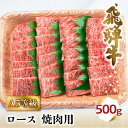 【ふるさと納税】飛騨牛 A5 焼肉 ロース 500g 2-3人前 バーベキュー キャンプ 牛肉