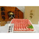 【ふるさと納税】【数量限定】【高島屋選定品】飛騨牛ロース薄切り500g 飛騨牛 牛ロース 和牛 ロース ロース薄切り すき焼き しゃぶしゃぶ (株)高島屋 AT002