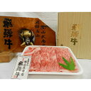 【ふるさと納税】【高島屋選定品】飛騨牛 ロース 焼肉用 500g 和牛 ロース焼肉用 ロース 焼肉用 (株)高島屋 AT001