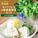 【ふるさと納税】【 6ヶ月 定期便 】飛騨の新鮮モッツァレラ&フレッシュ野菜 セット 6回お届け モッツァレラチーズ 6回 半年 チーズ ミックスリーフ 無農薬...