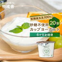 【ふるさと納税】【6か月定期便】生乳100% 砂糖不使用 プレーンヨーグルト 20個 牧成舎 朝食におすすめ 無糖ヨーグルト プレーンヨーグルト 砂糖不使用 生...