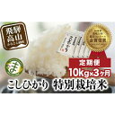 【ふるさと納税】【定期便 3ヶ月】(全3回)【定期便 3ヶ月】飛騨こしひかり 10kg コシヒカリ 特別栽培米 岐阜県産 令和7年産 新米 | コシヒカリ 特別栽培米 飛騨高山 まんま農場 LT102