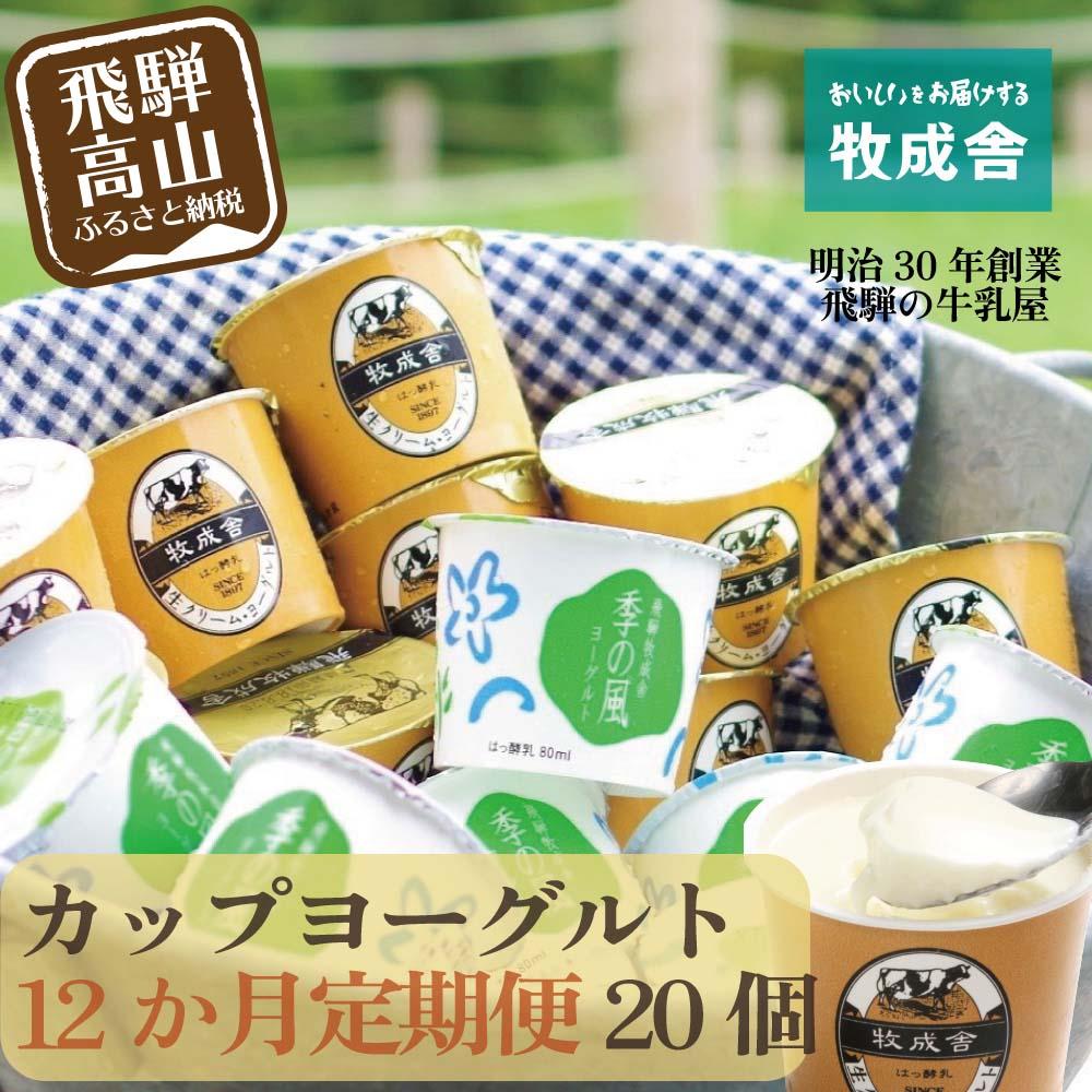 【ふるさと納税】【定期便12か月】飛騨のカップヨーグルト20個セット 1年定期 2種類 セット 各10個 ヨーグルト 乳製品 乳酸菌 腸活 定期便 毎月届く 季...