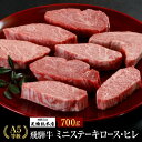 【ふるさと納税】A5等級 飛騨牛 ミニステーキ ロース・ヒレ 700g | A5 黒毛和牛 和牛 ブランド牛 牛肉 牝牛 肉 贈答 熨斗 のし 飛騨高山 天狗総本店 BP022
