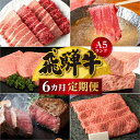 【ふるさと納税】【定期便6ヶ月】 A5ランク肉 飛騨牛 定期便 約2.6kg(360g以上×6ヶ月) 牛肉 ( 焼肉 すき焼き しゃぶしゃぶ ステーキ 肩ロース...