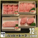 【ふるさと納税】ハッピービーフ 【定期便】 飛騨牛 ブランド牛 A5ランク ハッピープラス 飛騨高山 JQ100