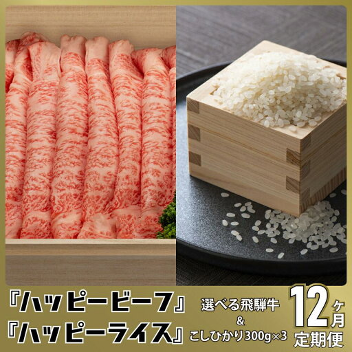 【ふるさと納税】米と飛騨牛【定期便】 12回 こしひかり コシヒカリ A5等級 ブランド牛 12ヶ月 内祝い のし 熨斗 ハッピープラス 飛騨高山 JQ102 お楽しみ 【ふるさと納税】米と飛騨牛【定期便】 12回 こしひかり コシヒカリ A5等級 ブランド牛 12ヶ月 内祝い のし 熨斗 ハッピープラス 飛騨高山 JQ102 お楽しみ