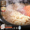 【ふるさと納税】【定期便 3ヶ月】(全3回)【定期便 3ヶ月】 飛騨ゆきまんま 玄米 10kg 特別栽培米 岐阜県産 令和7年産 新米 | 特別栽培米 特別優秀賞 飛騨高山 まんま農場 LT107