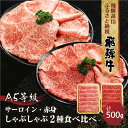 【ふるさと納税】2種食べ比べ しゃぶしゃぶ! 飛騨牛 A5等級 500g (サーロイン 250g+もも 250g) | 黒毛和牛 ブランド牛 鍋 豪華 丹生川精肉 JJ006VP