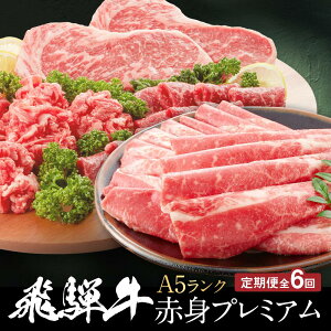 【ふるさと納税】飛騨牛 A5 赤身プレミアム 定期便 全6回 偶数月にお届け 約2kg|2ヶ月に1回お届け すき焼き しゃぶしゃぶ 焼肉 ステーキ シャトーブリアン HF100 | 飛騨牛 肉 お肉 にく 食品 人気 おすすめ 送料無料 ギフト