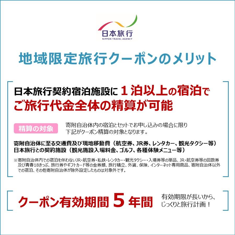 【ふるさと納税】岐阜県高山市 日本旅行 地域限定旅行クーポン30,000円分 | 高山市への旅行に使える割引クーポン 旅行 割引 クーポン チケット 宿泊 飛騨高山 株式会社日本旅行 NU002 | チケット 旅行 宿泊券 ホテル 観光 旅行 旅行券 交通費 体験 宿泊 トラベルクーポンその2