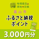 【ふるさと納税】高山市ふるさと納税ポイント 3,000pt【飛騨信用組合 SB002】
