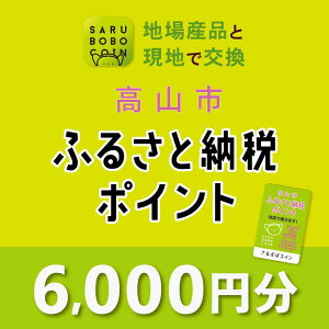 【ふるさと納税】高山市ふるさと納税ポイント 6,000pt【飛騨信用組合 SB003】