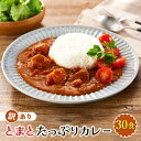 【ふるさと納税】訳あり とまとたっぷりカレー(160g×30袋)| 野菜の旨味 簡易包装 トマト カレー 人気 野菜たっぷり 子供 おいしい ふるさと清見21 ...
