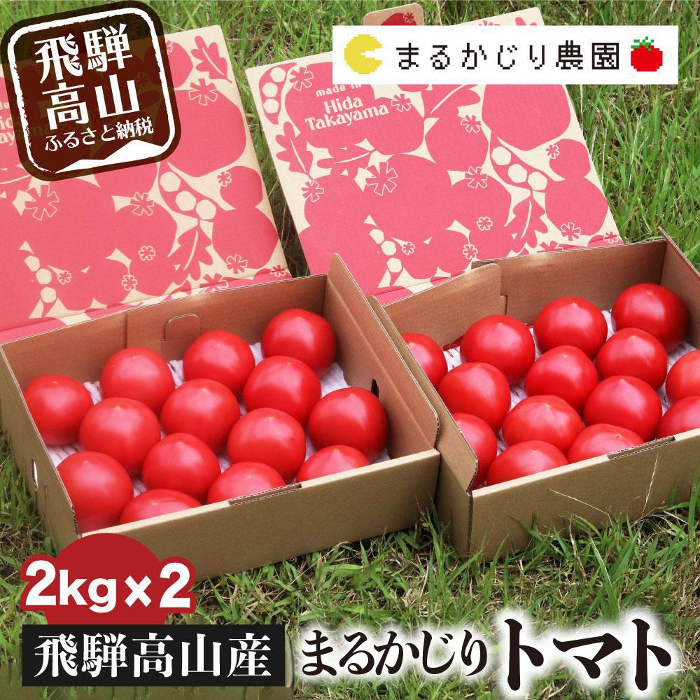 【ふるさと納税】【2025年予約受付】 飛騨高山産 トマト 『麗月』4kg(2kg×2箱) | とまと 産地直送 野菜 飛騨高山 まるかじり農園 FW003