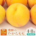 【ふるさと納税】【2025年先行予約】飛騨のたから桃(4-8玉)糖度15度以上 黄桃|桃 もも おうとう 極上の甘さ 濃厚な甘さ 甘い 贈答 高級 特選 朝採り...
