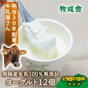 【ふるさと納税】<牧成舎>飛騨の牛乳屋さんが作った こだわりの カップヨーグルト12個(砂糖不使用タイプ)| ヨーグルト 無糖 砂糖不使用 無添加 健康 おいし...