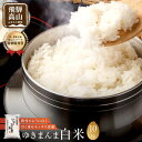 【ふるさと納税】【令和7年度産 新米】飛騨ゆきまんま 10kg 特別栽培米 | 米 ゆきまんま 白米 特別栽培米 ブランド米 特別優秀賞獲得 地域限定 飛騨高山 まんま農場 LT008VP