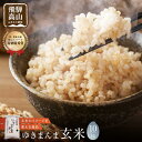 【ふるさと納税】【令和7年度産 新米】飛騨ゆきまんま 玄米 10kg 特別栽培米 | 米 特別栽培米 地域限定 特別優秀賞 飛騨高山 まんま農場 LT009VP