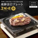 【ふるさと納税】【飛騨溶岩プレート】美味焼【彩】肉や野菜が美味しく焼ける!ご家庭での焼肉に最適! プレート アウトドア 砂原石材 BE005VP