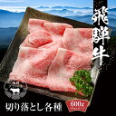 【ふるさと納税】飛騨牛 切落とし 600g(約150g×4パック) 冷凍真空パック | 肉 お肉 すき焼き すきやき しゃぶしゃぶ 黒毛和牛 和牛 個包装 小分...
