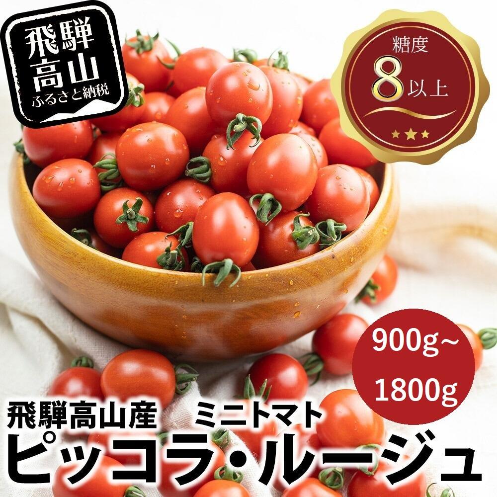 【ふるさと納税】【先行予約】濃厚ミニトマト ピッコラ・ルージュ 900g~1800g | 減農薬栽培 フルーツトマト ミニトマト トマト 甘い 農家直送 産地直送 肉厚 糖度 高冷地 野菜 減農薬 飛騨高山 新葉ファーム FV008MP