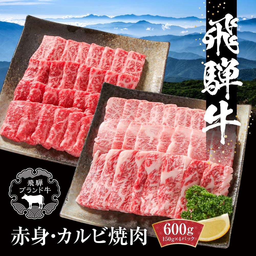 【ふるさと納税】飛騨牛 焼肉 厳選2種盛(赤身・カルビ) 600g(150g×各2パック) 冷凍真空パック | 肉 お肉 焼肉 焼き肉 やきにく 黒毛和牛 和牛 個包装 小分け 人気 おすすめ 牛肉 ギフト お取り寄せ【飛騨高山ミートMZ008】