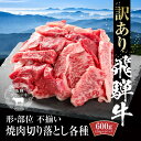【ふるさと納税】訳あり 飛騨牛 焼肉 切落とし 600g(150g×4パック) 冷凍真空パック | 肉 お肉 焼肉 焼き肉 やきにく 黒毛和牛 和牛 個包装 小...