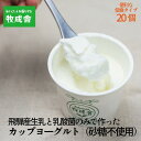 【ふるさと納税】砂糖不使用 プレーンヨーグルト 20個 飛騨の牛乳屋 牧成舎 生乳100% 朝食におすすめ 無糖ヨーグルト プレーンヨーグルト 砂糖不使用 生乳...