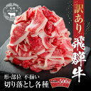 【ふるさと納税】訳あり 飛騨牛 切落とし 500g 冷凍真空パック | 肉 お肉 切り落とし 薄切り すき焼き すきやき 黒毛和牛 和牛 人気 おすすめ 牛肉 ...