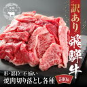 【ふるさと納税】訳あり 飛騨牛 焼肉 切り落とし 500g 冷凍真空パック | 肉 お肉 切落し 不揃い 焼肉 焼き肉 やきにく 黒毛和牛 和牛 人気 おすすめ...