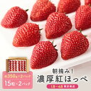 【ふるさと納税】【いちご30粒】朝摘み! 濃厚紅ほっぺ 約350g×2パック(数量限定/先行予約/1月~4月発送)| いちご フルーツ 甘い おいしい ハウス栽培 飛騨高山 m BerryFarm KL003