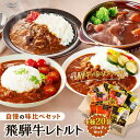 【ふるさと納税】【発送時期が選べる】訳あり 飛騨牛レトルト4種20袋! バラエティセット 飛騨牛 肉 牛 カレー ビーフカレー トマトカレー ビーフシチュー デ...