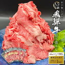 【ふるさと納税】【寄附額見直しました!】訳あり A5等級 飛騨牛 切り落とし 1kg(200g×5パック) | 肉 お肉 不揃い 和牛 国産 冷凍 すき焼き し...