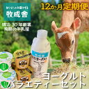【ふるさと納税】【12か月定期便】牧成舎のヨーグルト3種食べくらべセット|ヨーグルト 乳製品 デザート 朝食 食生活 牧成舎DF215