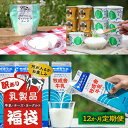 【ふるさと納税】【12か月定期便】牧成舎の訳あり乳製品福袋(牛乳・ヨーグルト・チーズ詰め合わせ)訳あり 福袋 乳製品 チーズ 詰め合せ | 牧成舎 DF231